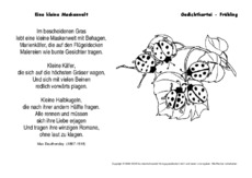Eine-kleine-Maskenwelt-Dauthendey-sw.pdf